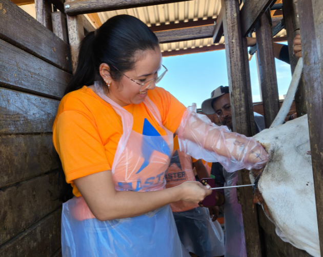 Inseminação Artificial em Bovinos